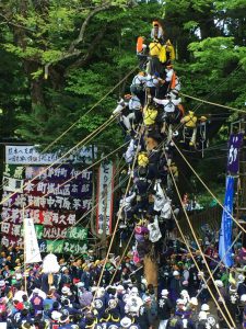 再び御柱祭の話題