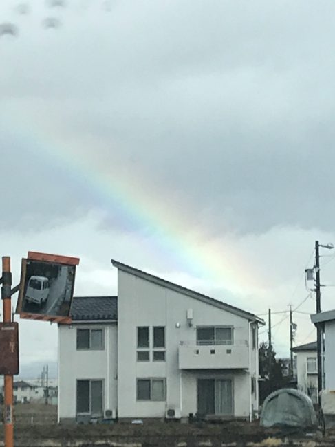 春の嵐の後のプレゼント🎁