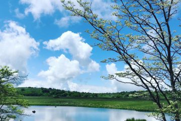 八島湿原