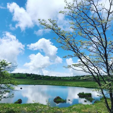 八島湿原